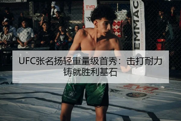 UFC张名扬轻重量级首秀：击打耐力铸就胜利基石