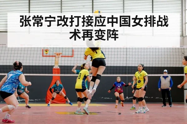 张常宁改打接应中国女排战术再变阵